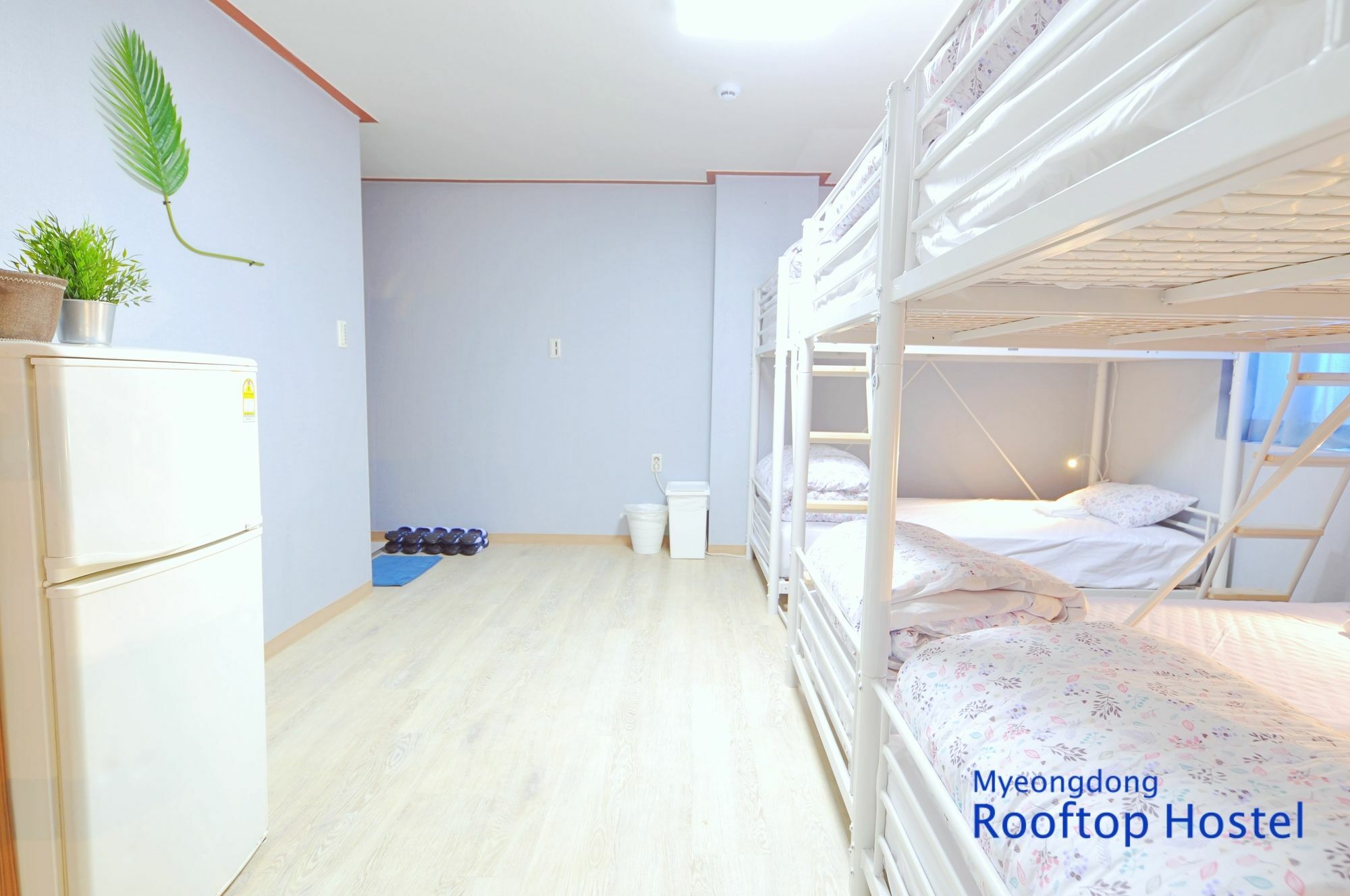 Myeongdong Rooftop Hostel Сеул Екстер'єр фото